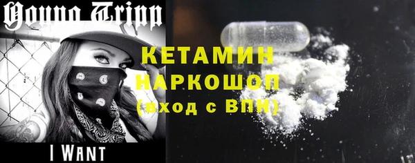 a pvp Новозыбков