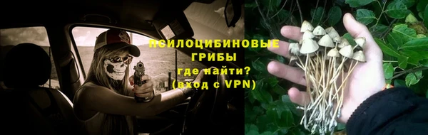 стафф Алексин