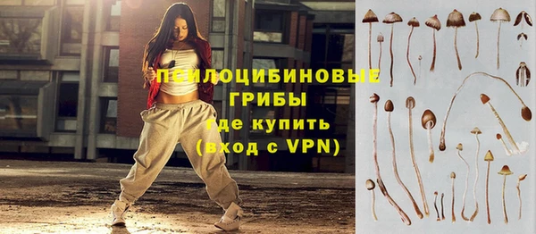 a pvp Алексеевка
