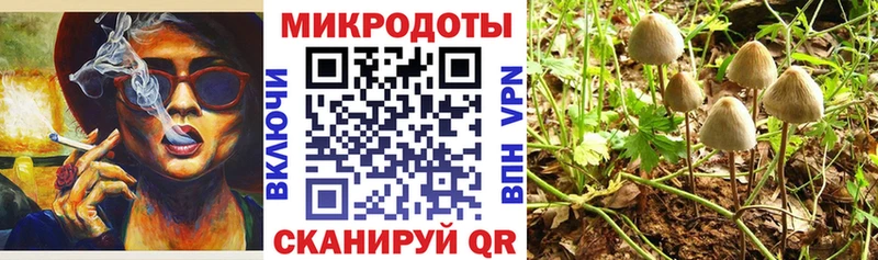 Галлюциногенные грибы Psilocybe что такое kraken как зайти Суджа